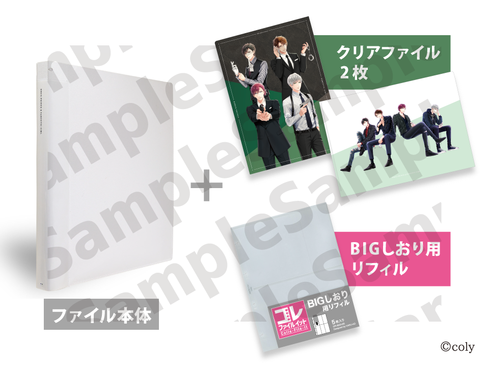 コレファイルイットセット S1S